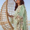 Pakistani - Image 4